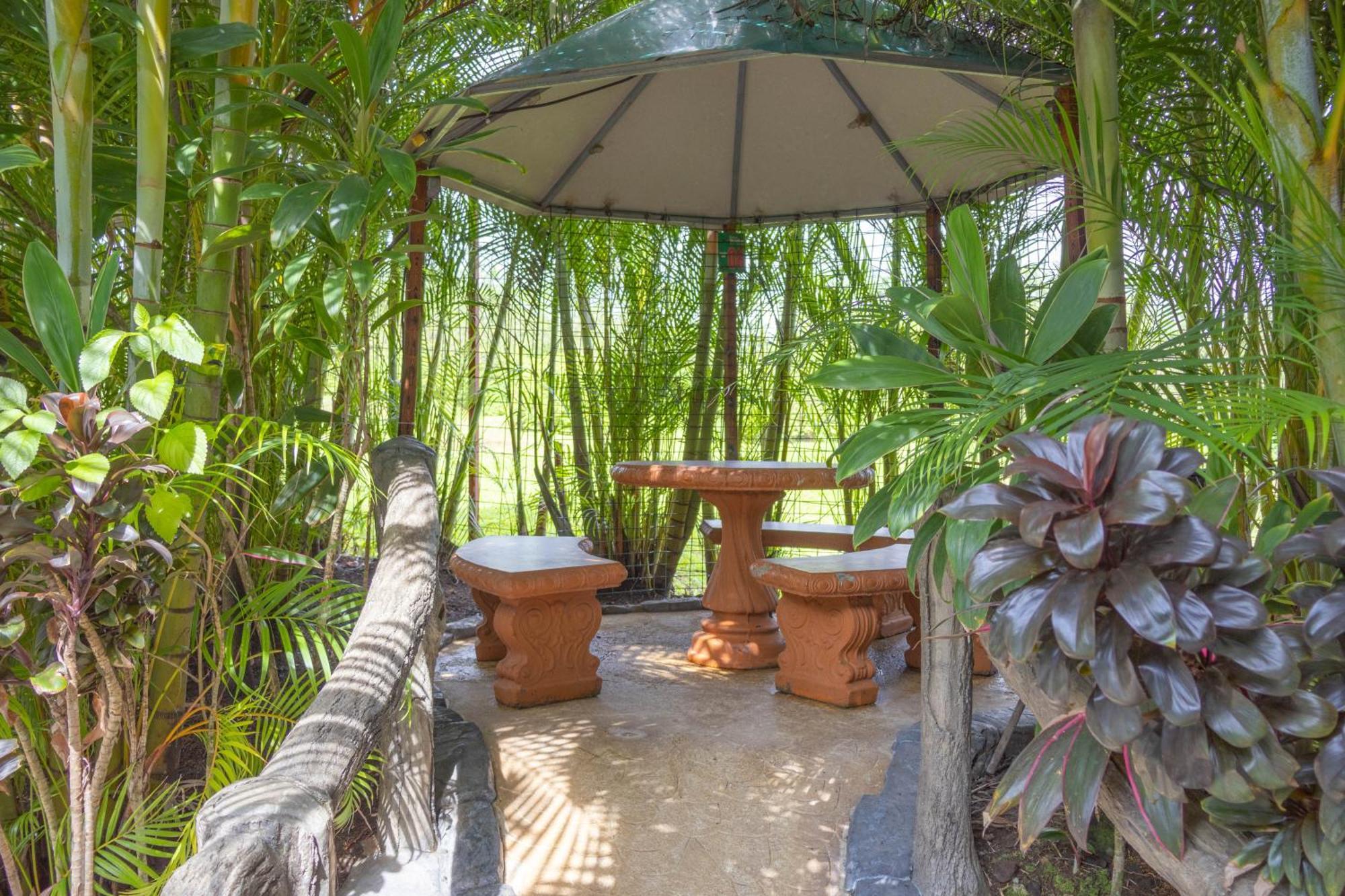 Hotel Relax Termalitas - Thermal Water La Fortuna 외부 사진